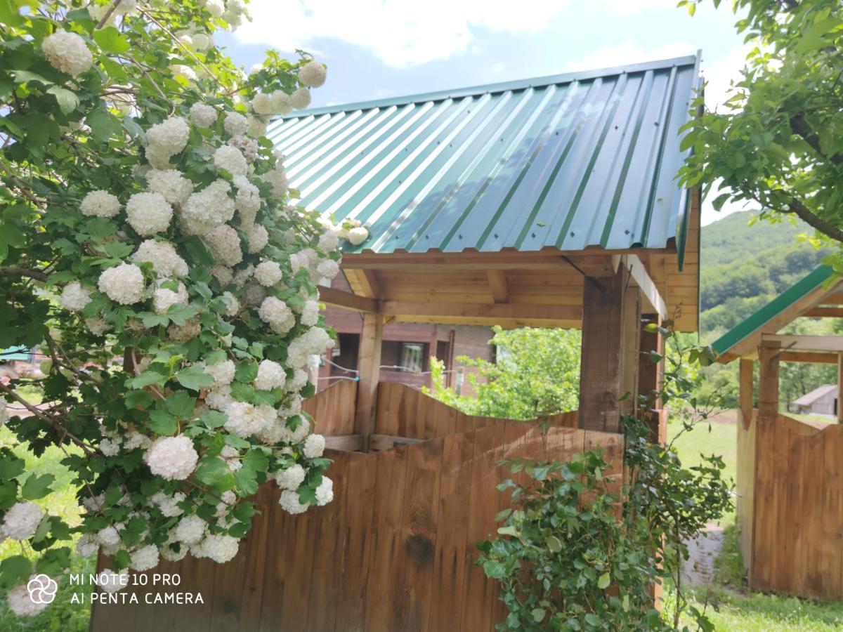 Ferienwohnung Koliba A&A Kolašin Exterior foto